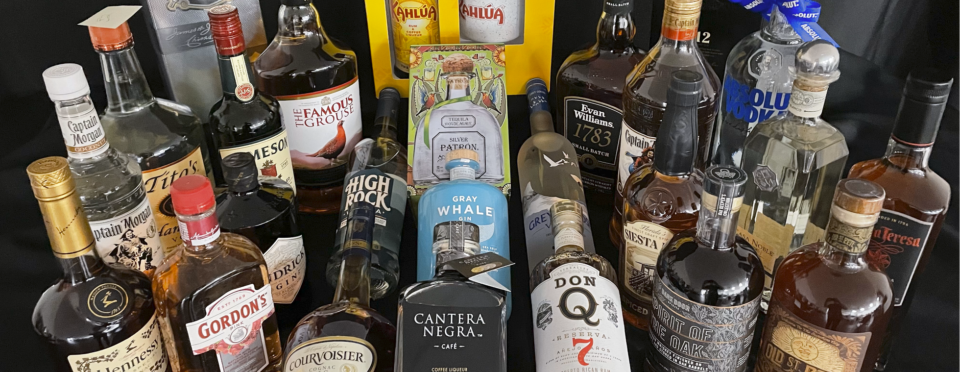 VISTEBall 2024 Wheelbarrow of Cheer